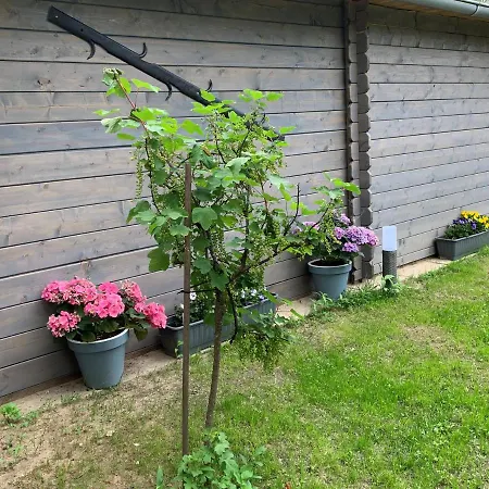 Heidezeit No 4 * Neuenkirchen (Heidekreis)