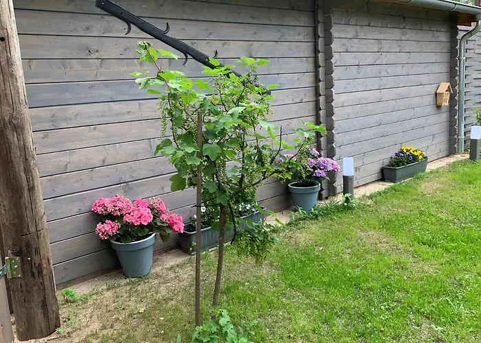 Heidezeit No 4 * 新基兴