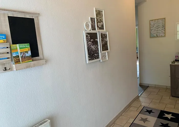 Heidezeit No 4 新基兴